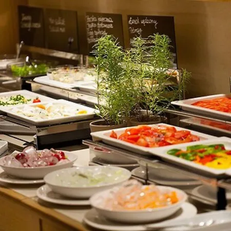 酒店 伊隆酒店 波兹南